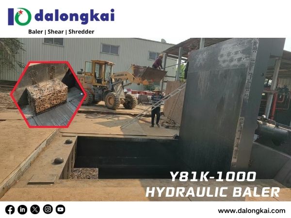 Dalongkai Y81K-1000 hydraulic metal baler in China